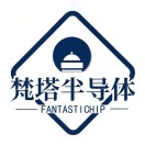 Fantastichip梵塔半导体